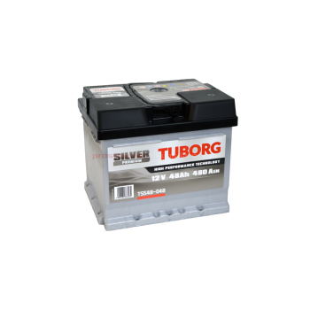 Tuborg Silver 48Ah 480A TS548-048